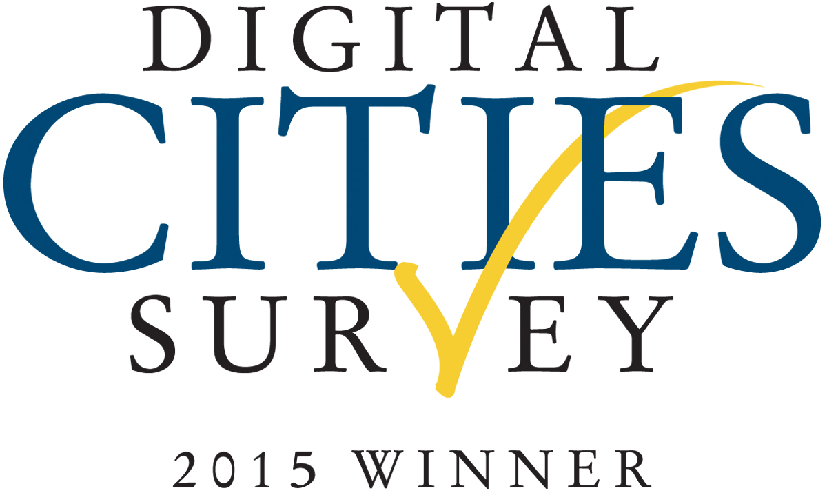 Digital Cities Winner Icon - 2015