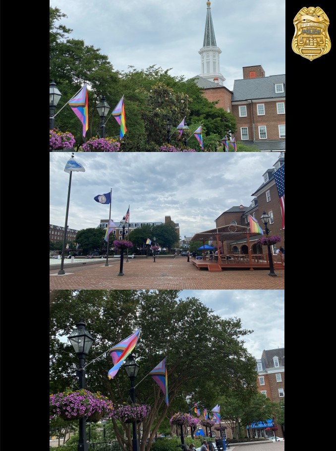 Market Square Pride Flags APD